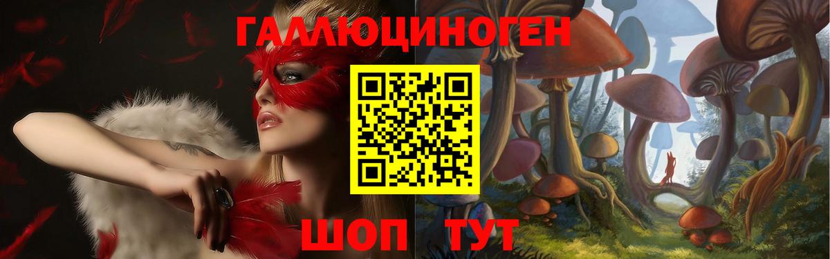 Псилоцибиновые грибы Psilocybine cubensis Кулебаки